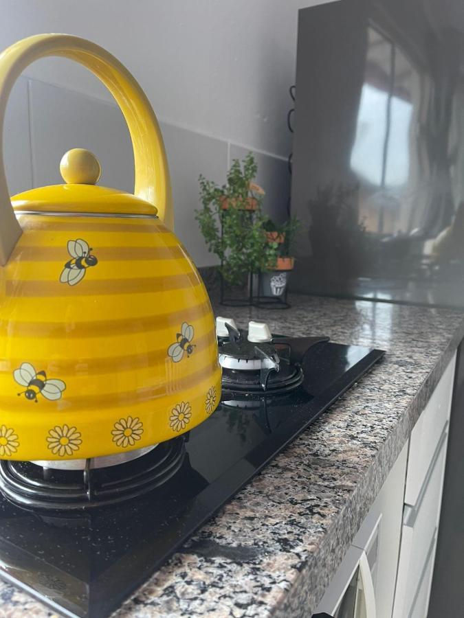 Hospedagem Confortavel E Pratica Para Viajantes E Ferias - Proxima A Br-101 Sao Jose  Zewnętrze zdjęcie